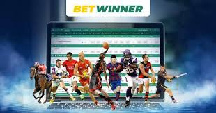 All You Need to Know About Betwinner Sports Bet